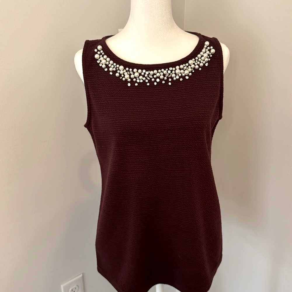 Ann Taylor Dressy Top